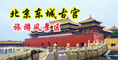 俄罗斯乱伦视频中国北京-东城古宫旅游风景区